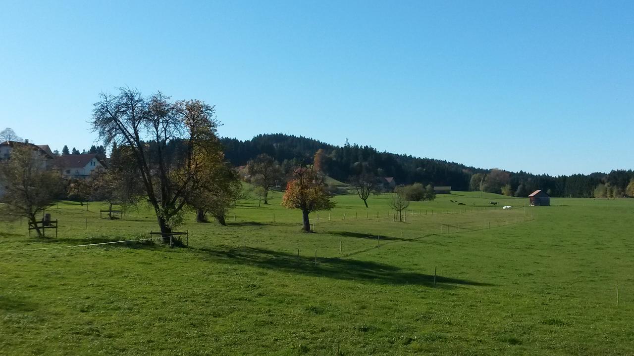 Herzberger Ferienwohnungen Scheidegg Εξωτερικό φωτογραφία